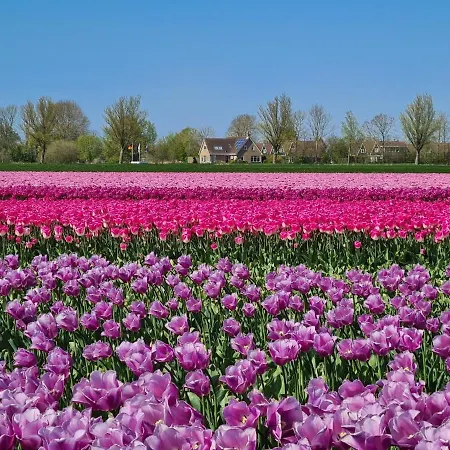 De Wielen 58 Nyaraló