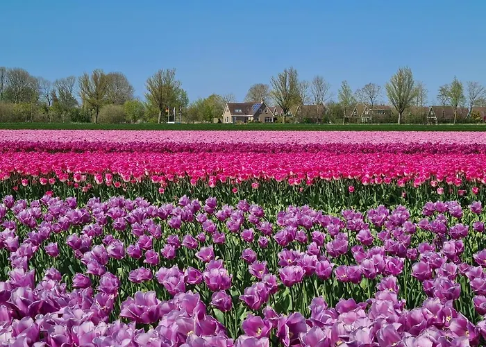 De Wielen 58 度假居